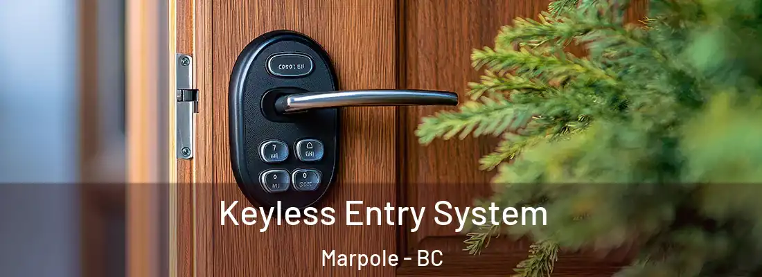  Keyless Entry System Marpole - BC