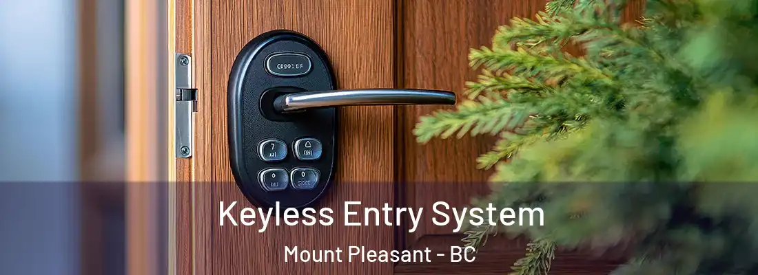  Keyless Entry System Mount Pleasant - BC