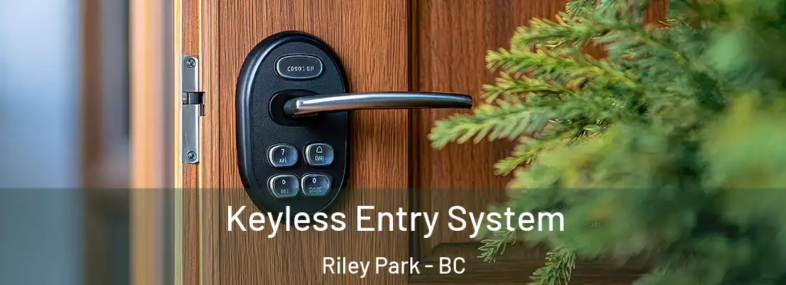  Keyless Entry System Riley Park - BC