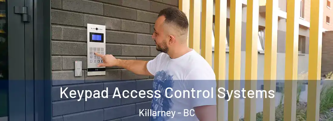  Keypad Access Control Systems Killarney - BC