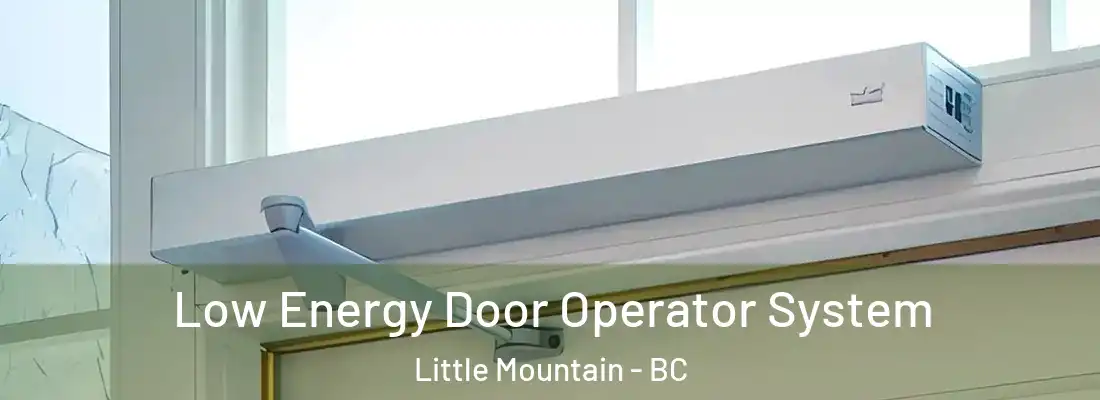  Low Energy Door Operator System Little Mountain - BC