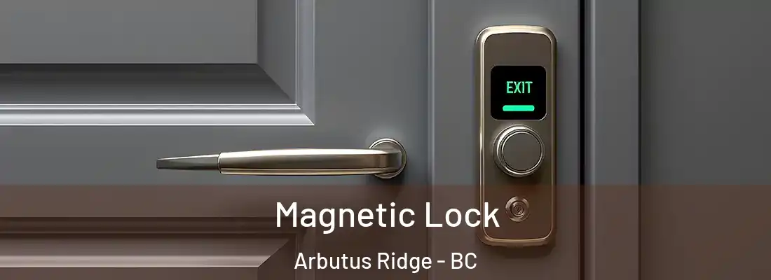  Magnetic Lock Arbutus Ridge - BC