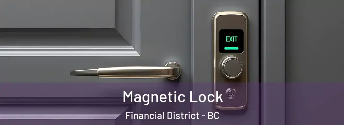  Magnetic Lock Financial District - BC