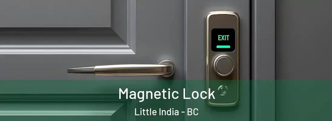  Magnetic Lock Little India - BC