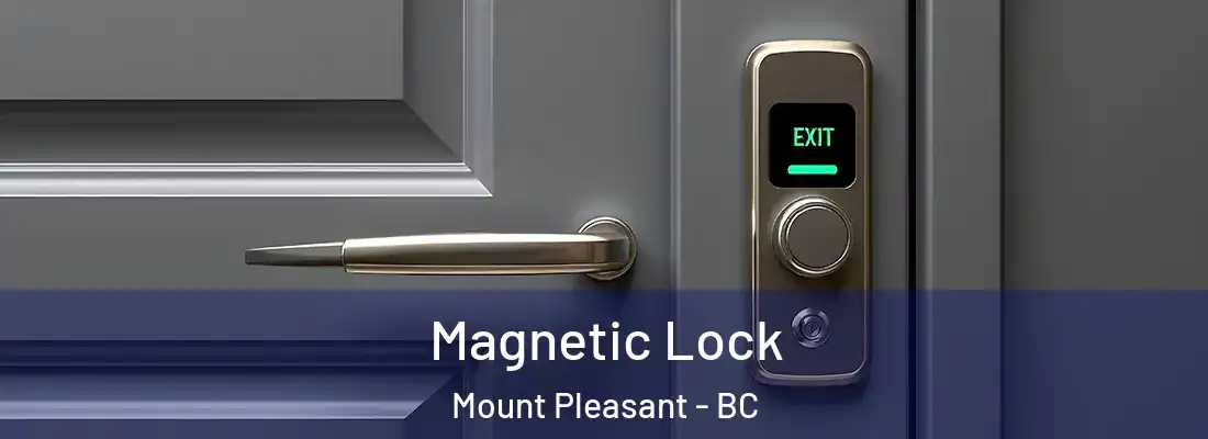  Magnetic Lock Mount Pleasant - BC