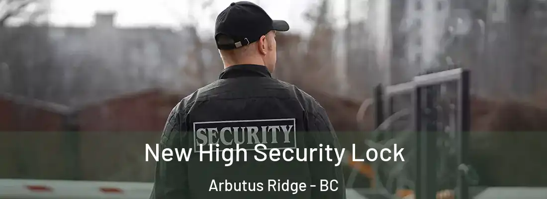  New High Security Lock Arbutus Ridge - BC