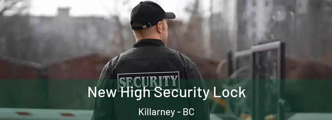  New High Security Lock Killarney - BC