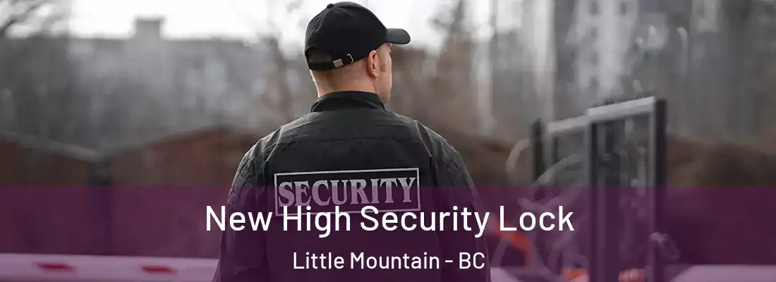  New High Security Lock Little Mountain - BC