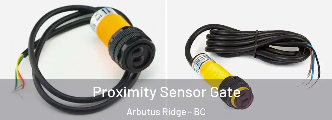  Proximity Sensor Gate Arbutus Ridge - BC