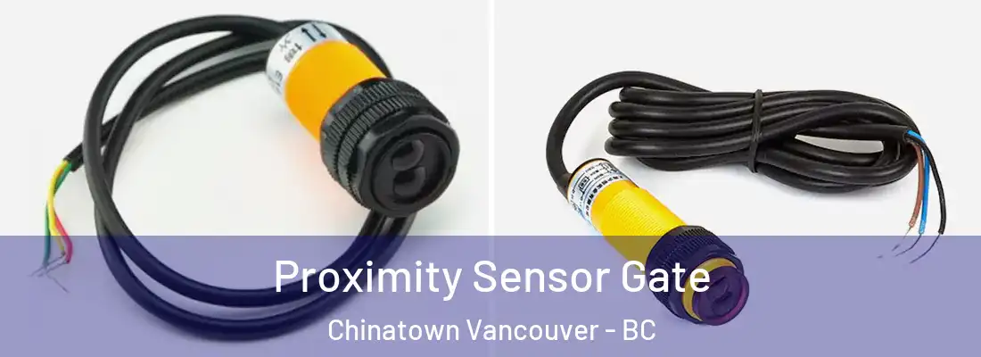  Proximity Sensor Gate Chinatown Vancouver - BC