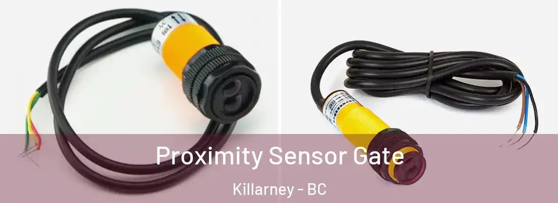  Proximity Sensor Gate Killarney - BC