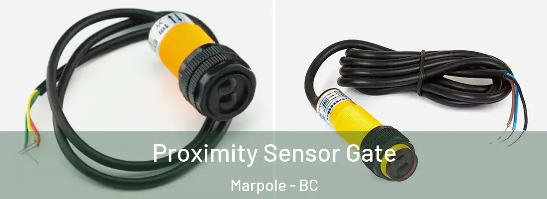  Proximity Sensor Gate Marpole - BC