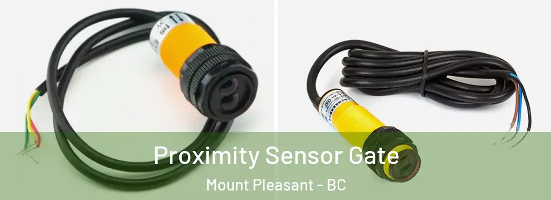  Proximity Sensor Gate Mount Pleasant - BC
