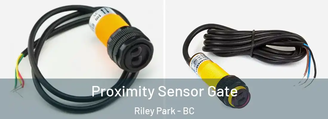  Proximity Sensor Gate Riley Park - BC