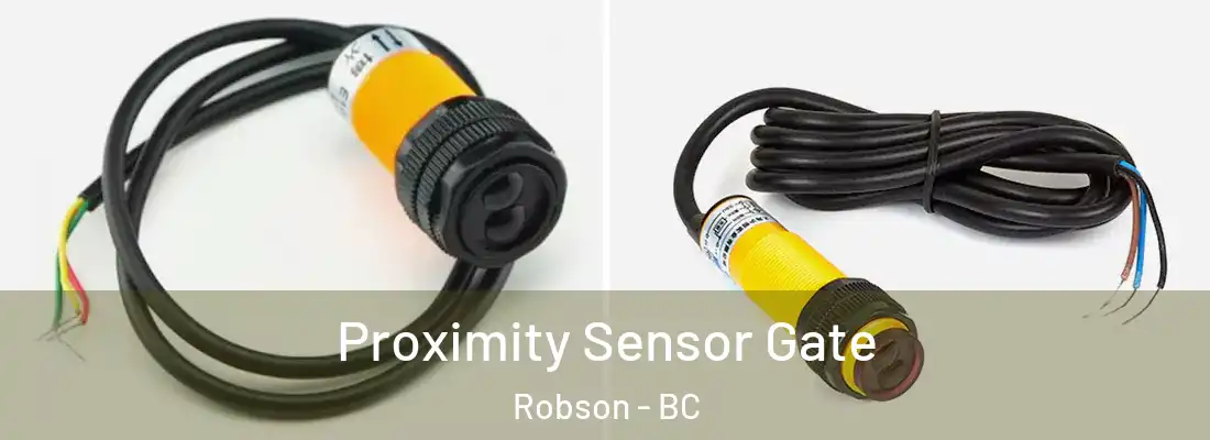  Proximity Sensor Gate Robson - BC
