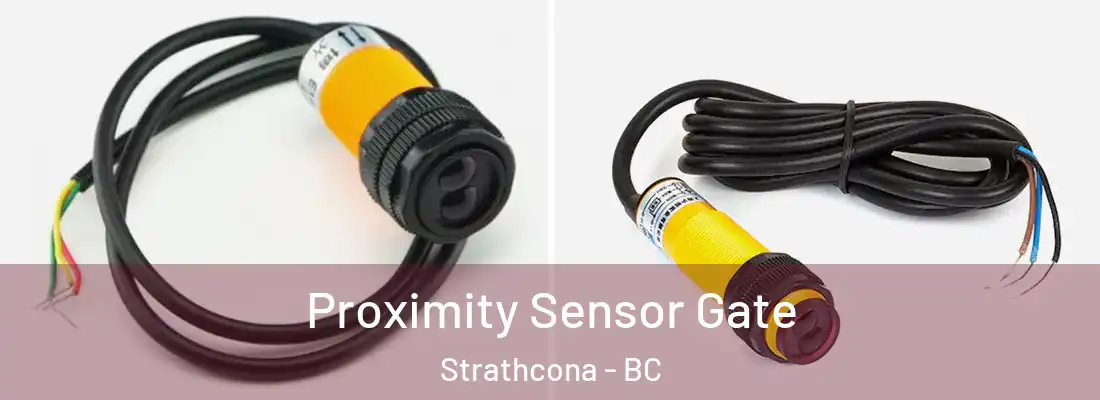  Proximity Sensor Gate Strathcona - BC