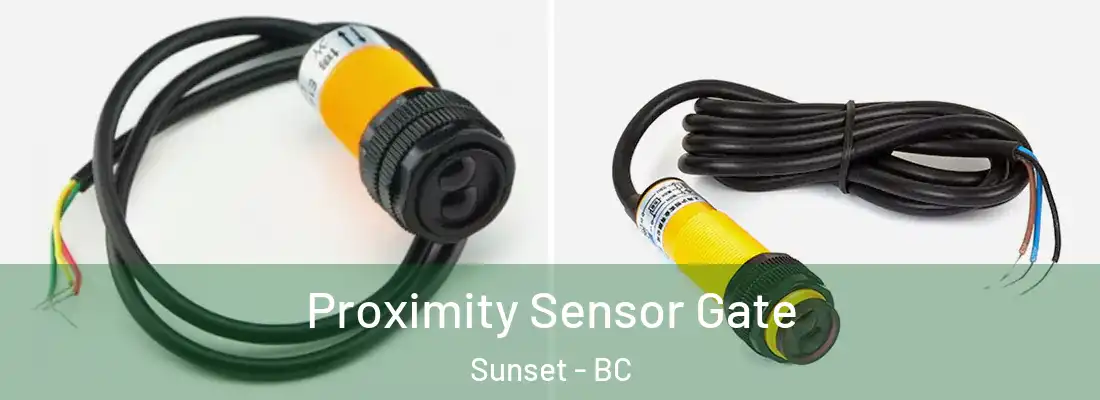  Proximity Sensor Gate Sunset - BC