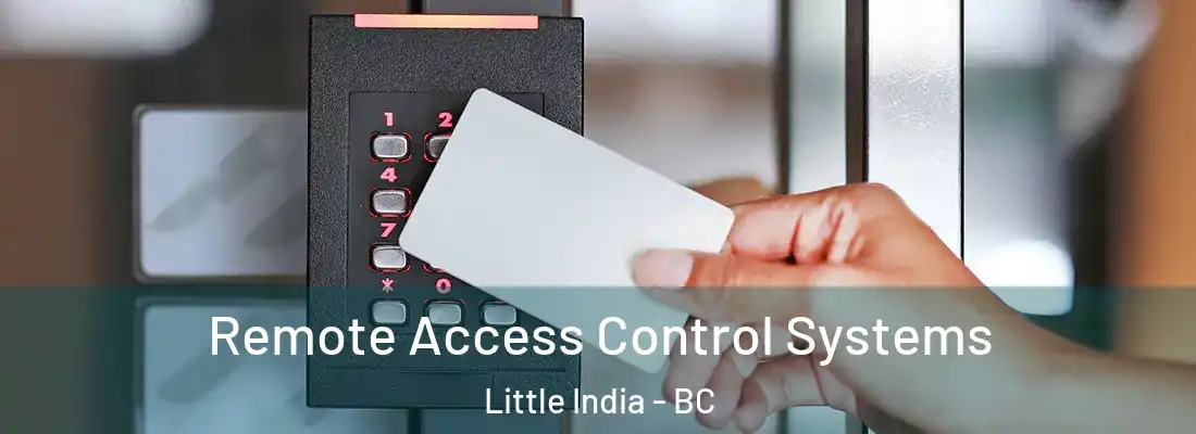  Remote Access Control Systems Little India - BC