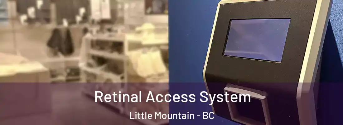  Retinal Access System Little Mountain - BC