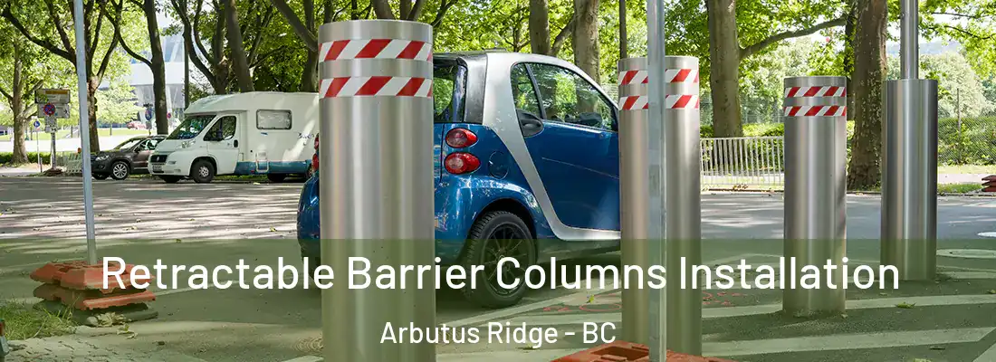  Retractable Barrier Columns Installation Arbutus Ridge - BC