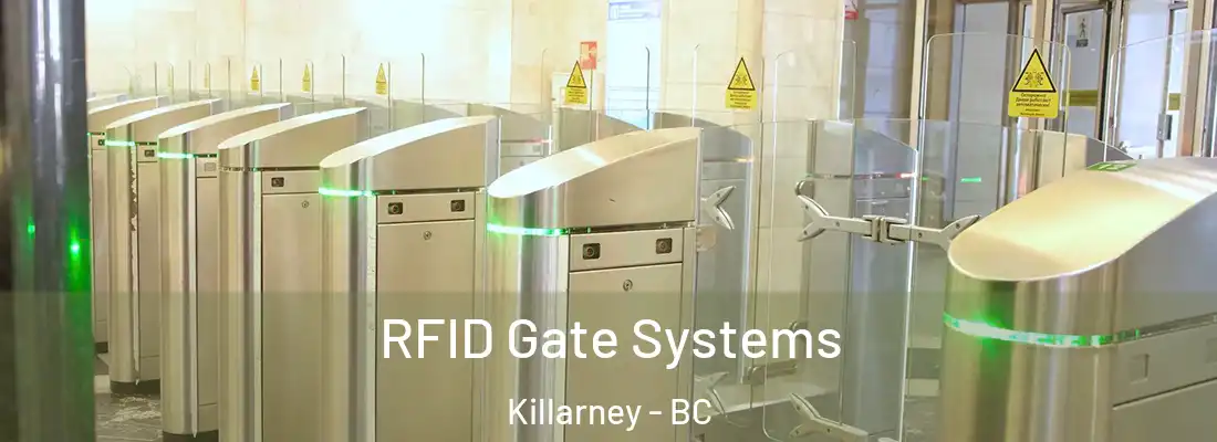  RFID Gate Systems Killarney - BC