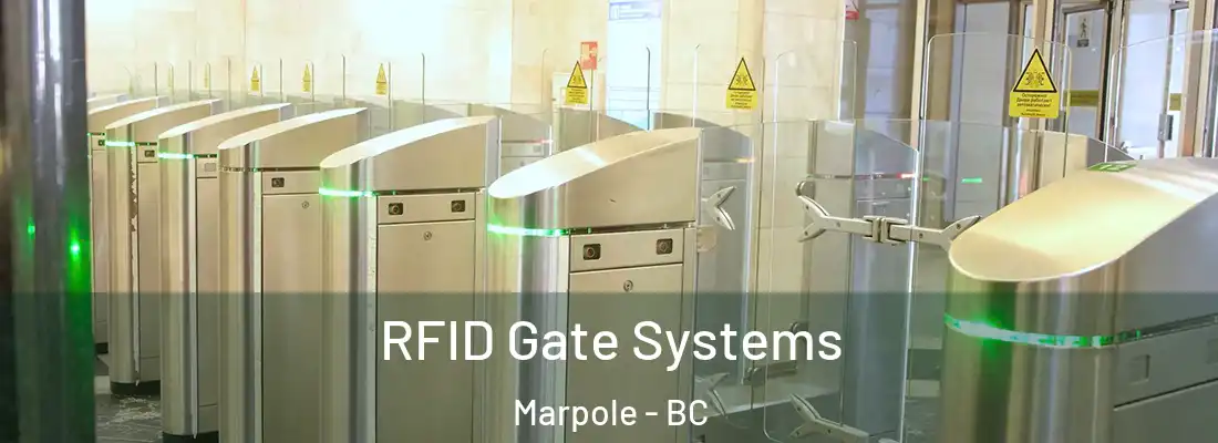  RFID Gate Systems Marpole - BC