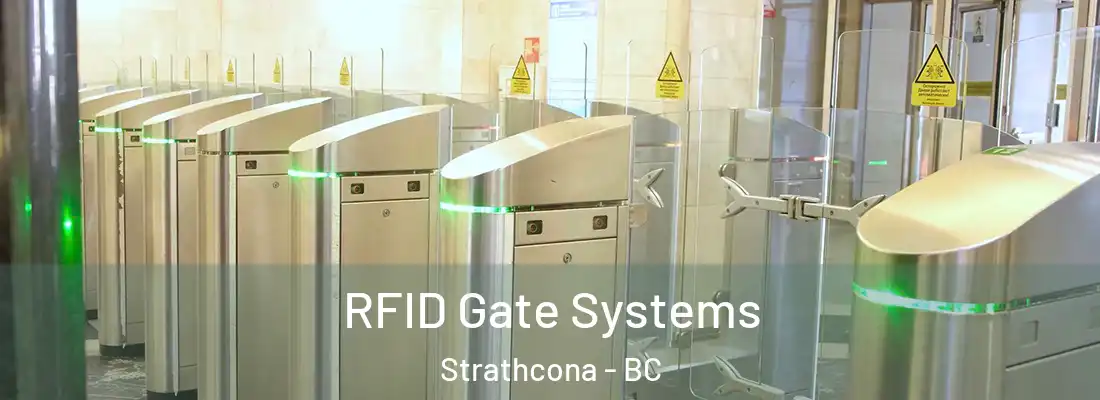  RFID Gate Systems Strathcona - BC