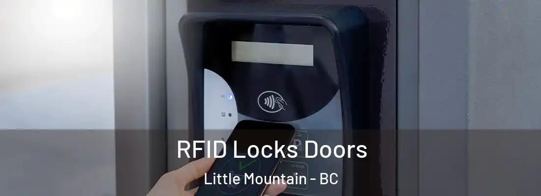  RFID Locks Doors Little Mountain - BC