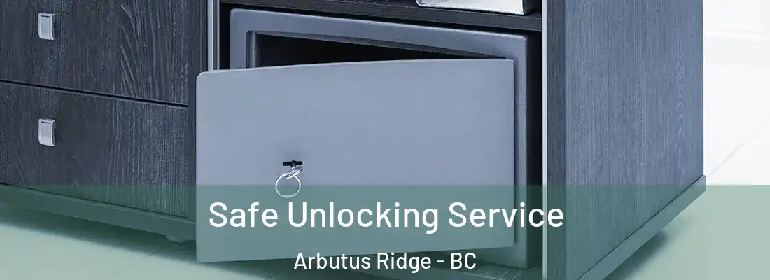 Safe Unlocking Service Arbutus Ridge - BC