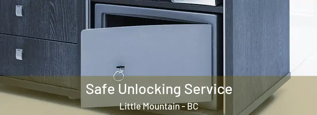  Safe Unlocking Service Little Mountain - BC