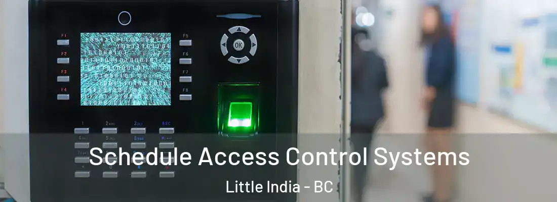  Schedule Access Control Systems Little India - BC