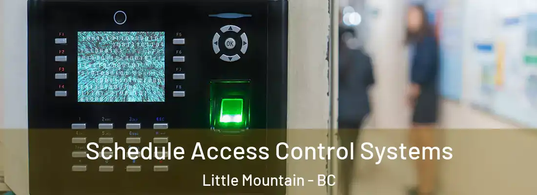  Schedule Access Control Systems Little Mountain - BC