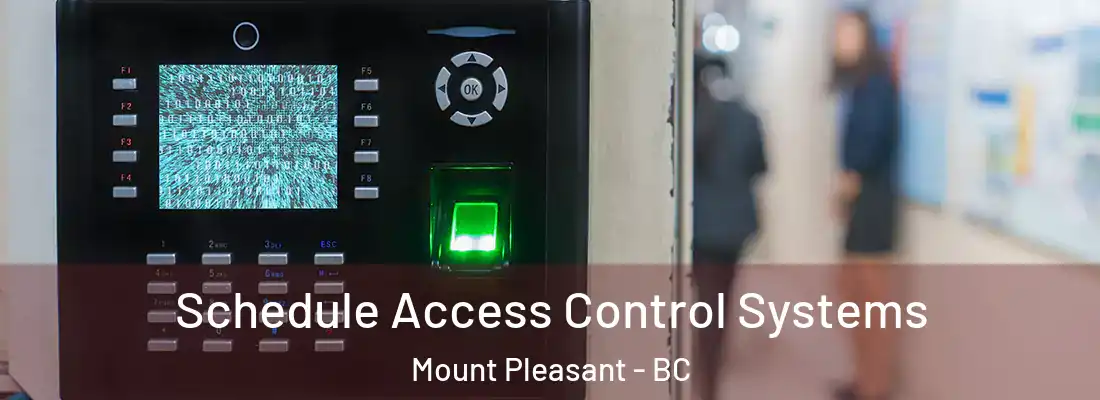  Schedule Access Control Systems Mount Pleasant - BC