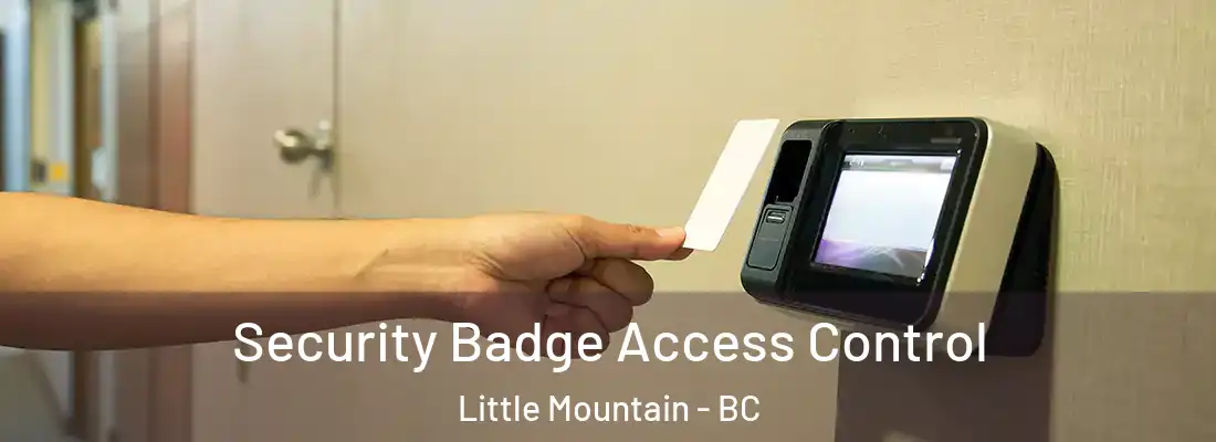  Security Badge Access Control Little Mountain - BC