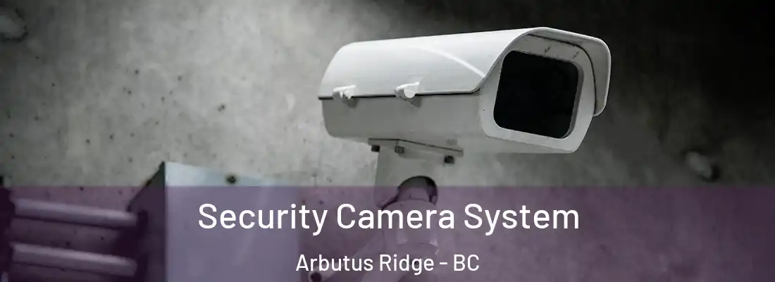  Security Camera System Arbutus Ridge - BC