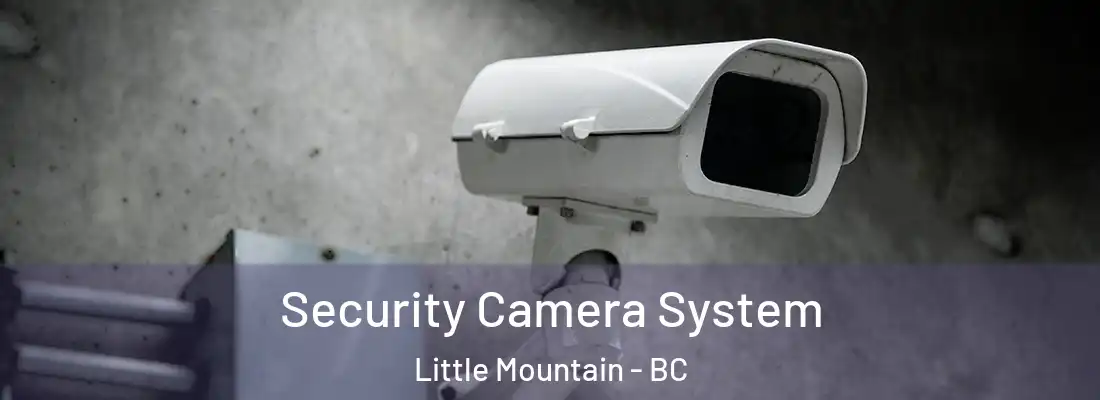  Security Camera System Little Mountain - BC
