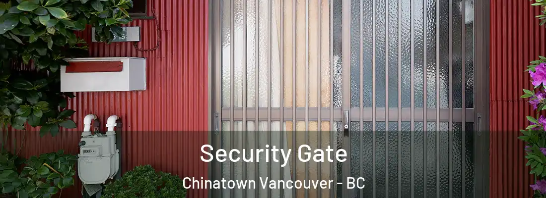  Security Gate Chinatown Vancouver - BC