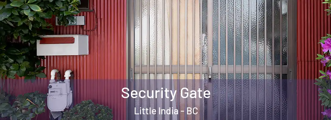  Security Gate Little India - BC