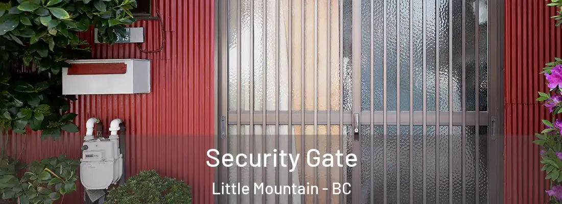  Security Gate Little Mountain - BC