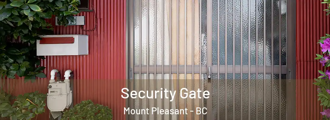  Security Gate Mount Pleasant - BC
