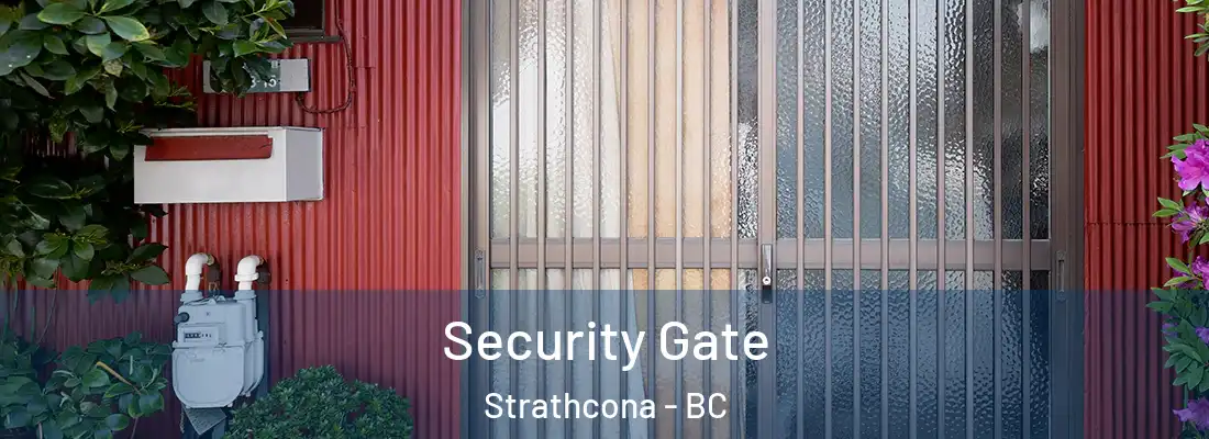  Security Gate Strathcona - BC