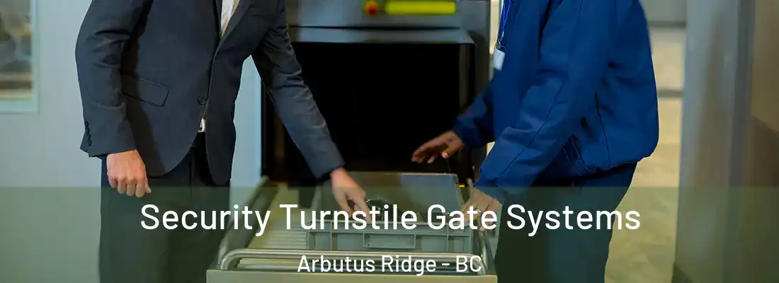 Security Turnstile Gate Systems Arbutus Ridge - BC