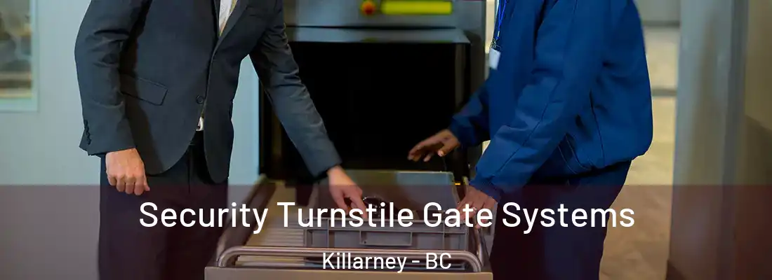  Security Turnstile Gate Systems Killarney - BC