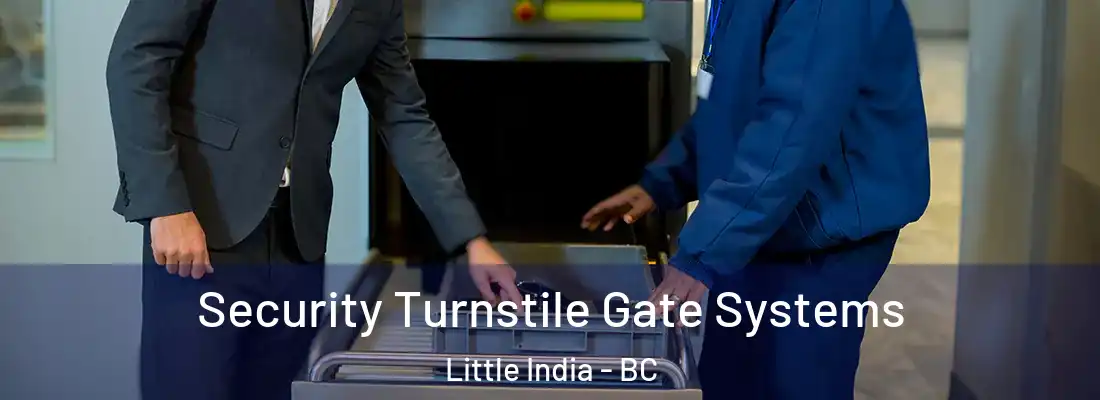  Security Turnstile Gate Systems Little India - BC
