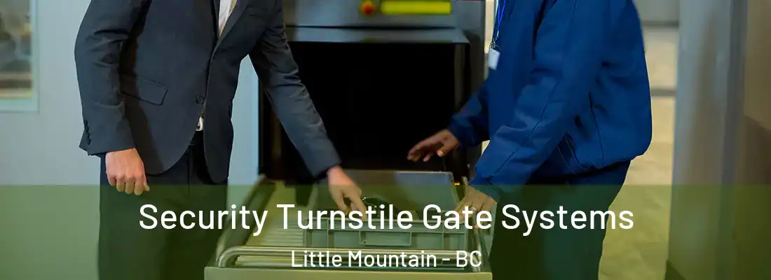  Security Turnstile Gate Systems Little Mountain - BC