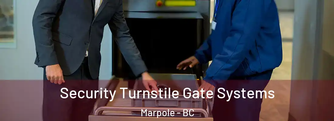  Security Turnstile Gate Systems Marpole - BC