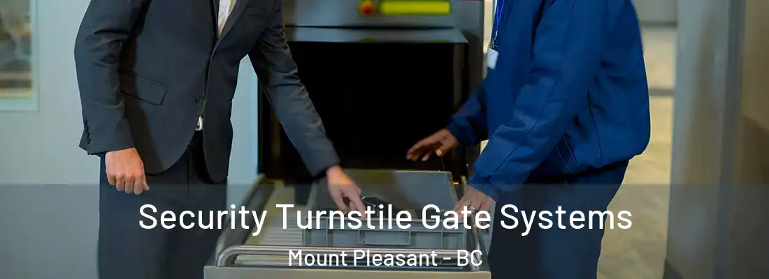  Security Turnstile Gate Systems Mount Pleasant - BC