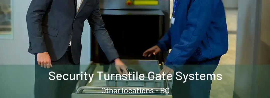  Security Turnstile Gate Systems Other locations - BC