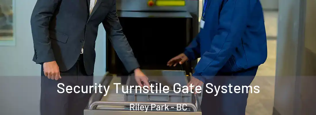  Security Turnstile Gate Systems Riley Park - BC