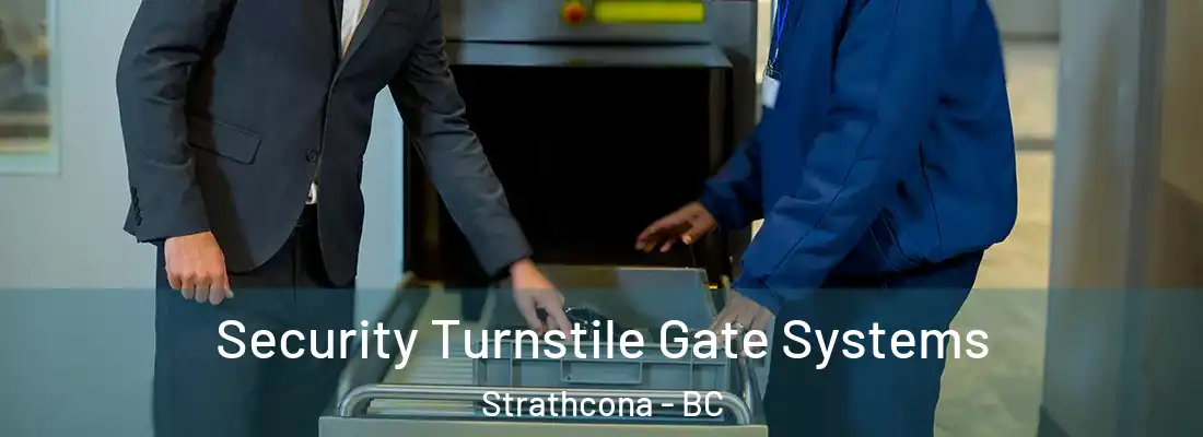  Security Turnstile Gate Systems Strathcona - BC